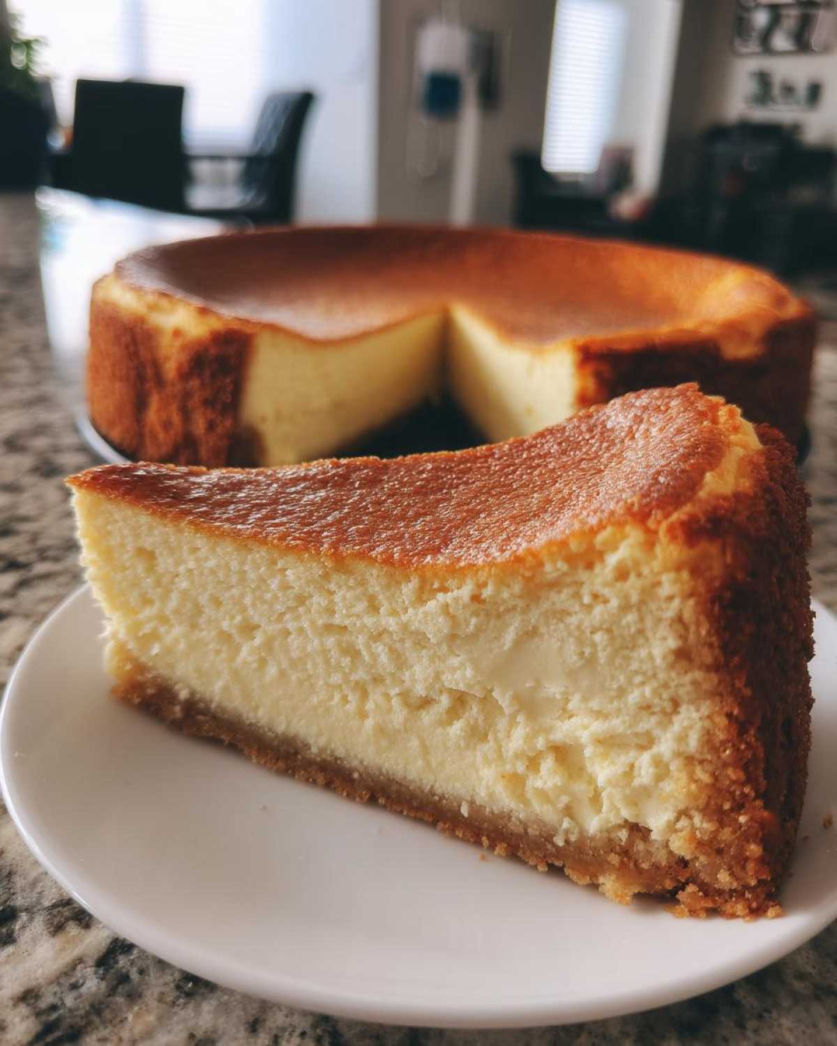 Protein Cheesecake