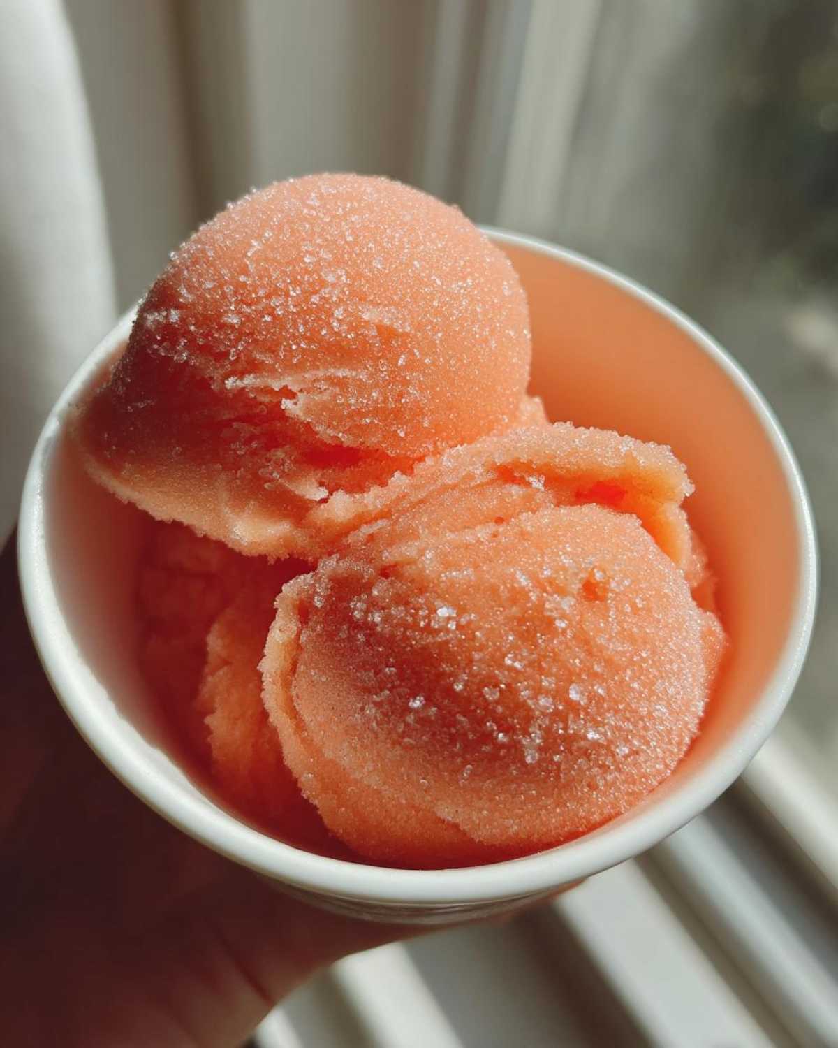 peach sorbet