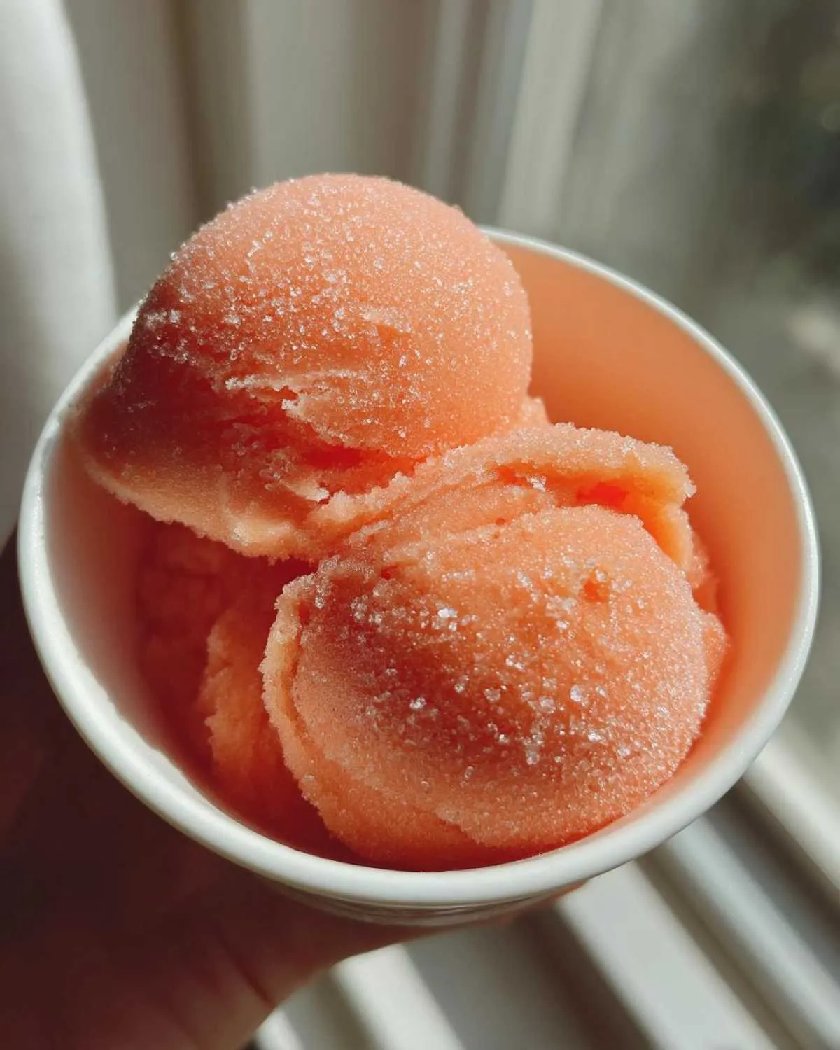 peach sorbet