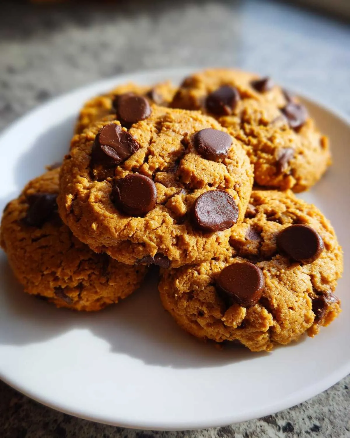 A close-up view of several golden-brown protein cookies with prominent chocolate chips on a white plate.
