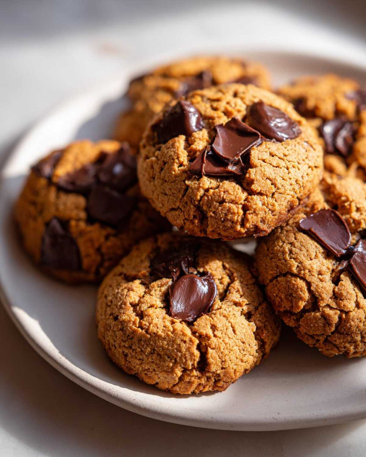 Close-up of several golden-brown protein cookies with melted chocolate chunks on a light plate, bathed in sunlight.