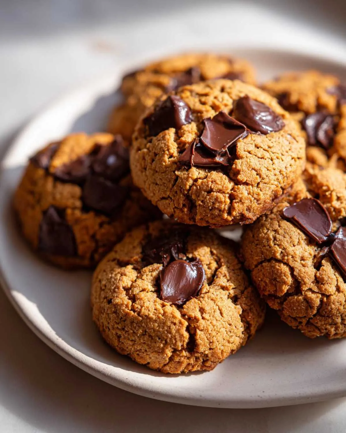 Close-up of several golden-brown protein cookies with melted chocolate chunks on a light plate, bathed in sunlight.