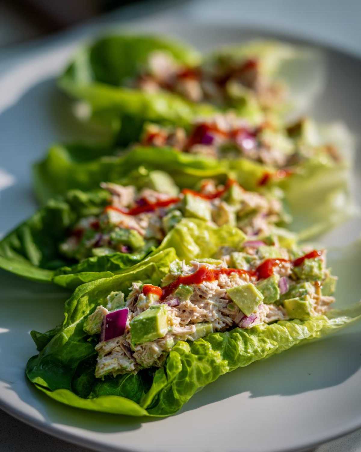 tuna lettuce wraps - Other 3