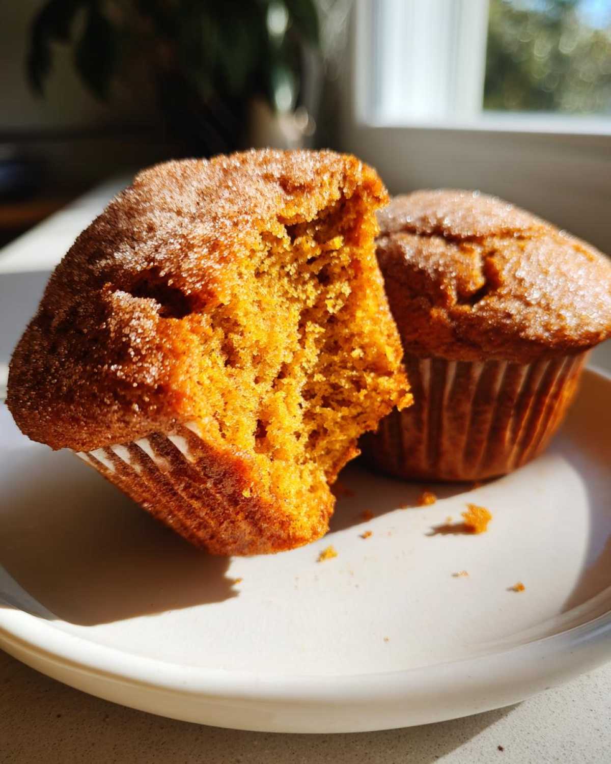 Close-up of moist pumpkin muffins, one with a bite taken out, showing the texture and cinnamon sugar topping.