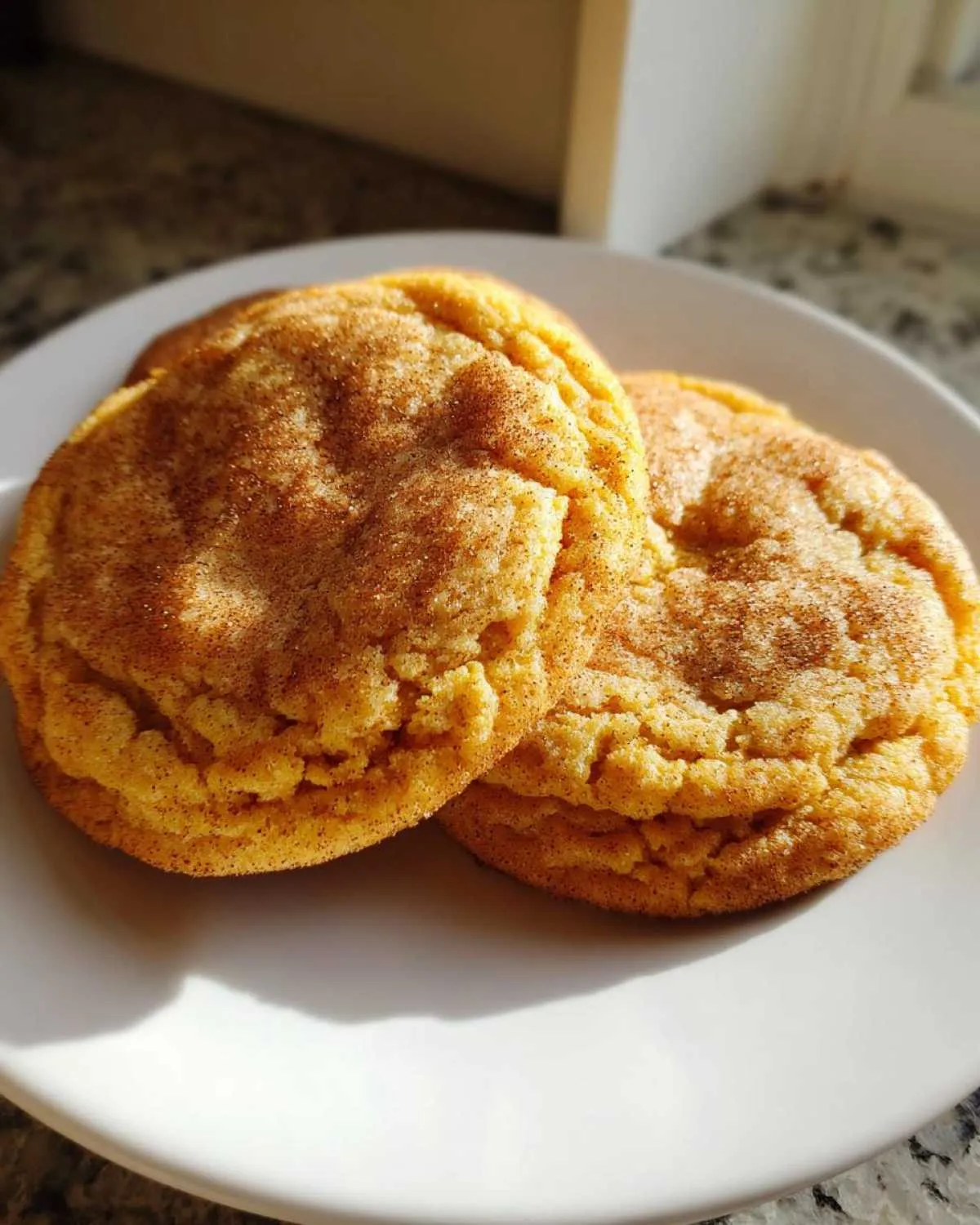 Two soft and chewy pumpkin cookies coated in cinnamon sugar on a white plate.