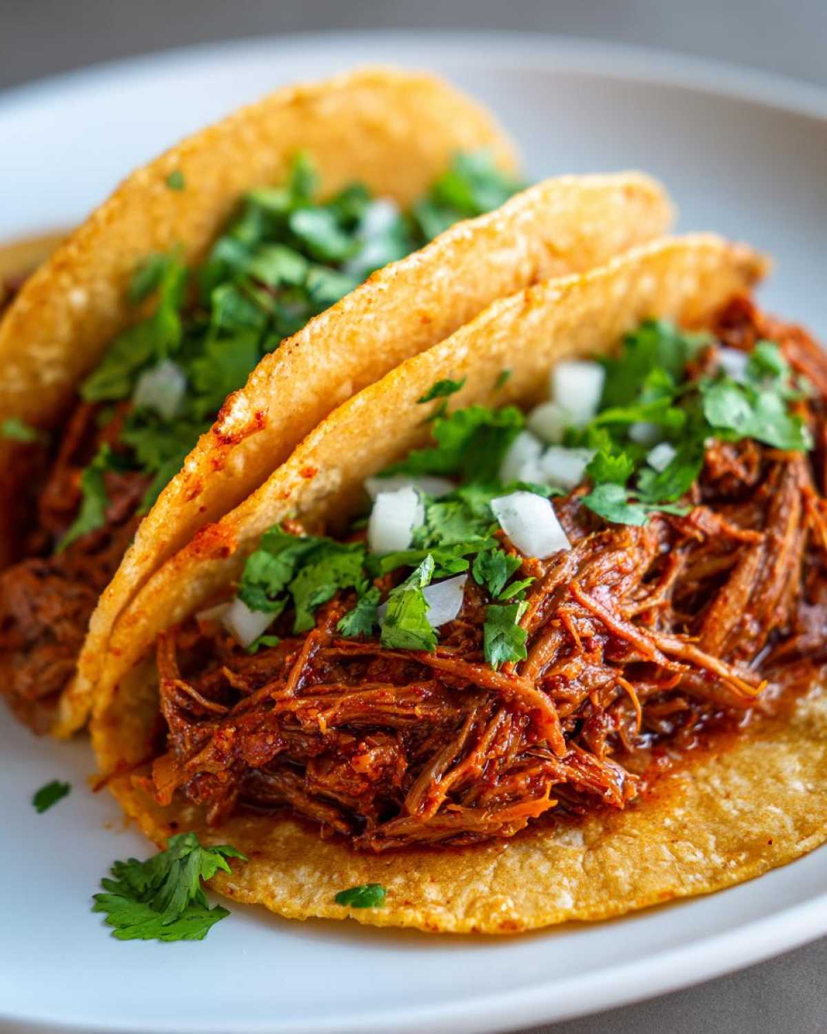 Close-up of two delicious crock pot shredded beef tacos topped with cilantro and diced onions.