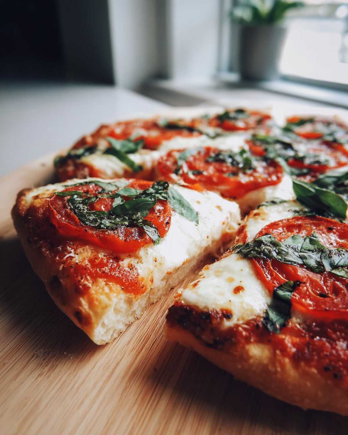 Close-up of a freshly baked Margherita pizza with melted mozzarella, ripe tomatoes, and fresh basil leaves.