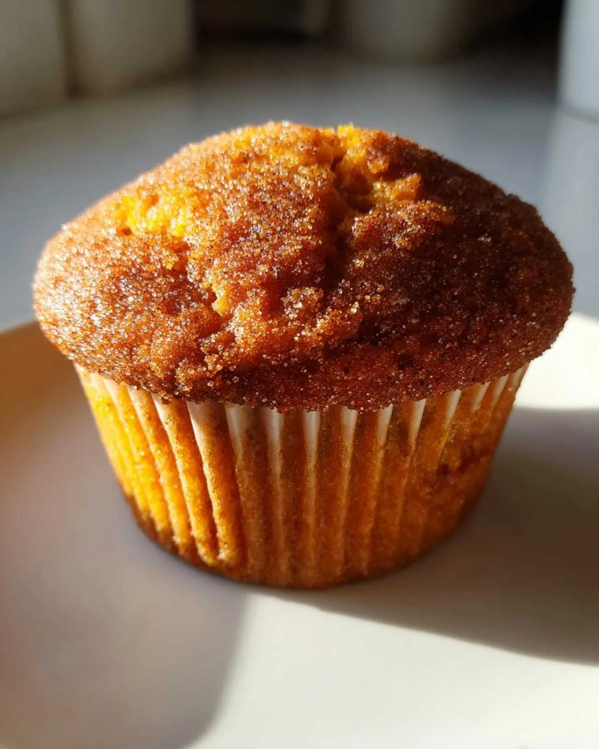 A single, perfectly baked sweet potato muffin topped with sparkling cinnamon sugar, sitting on a white plate.