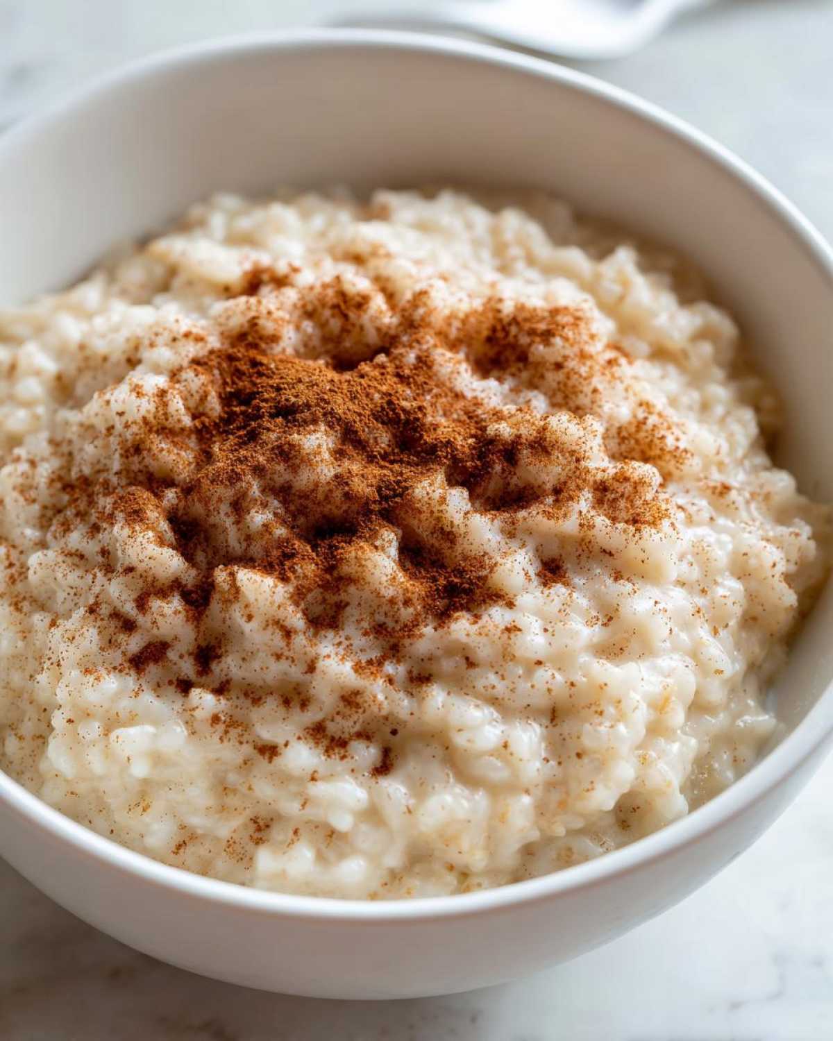 Close-up of a creamy rice pudding recipe served in a white bowl and generously topped with ground cinnamon.