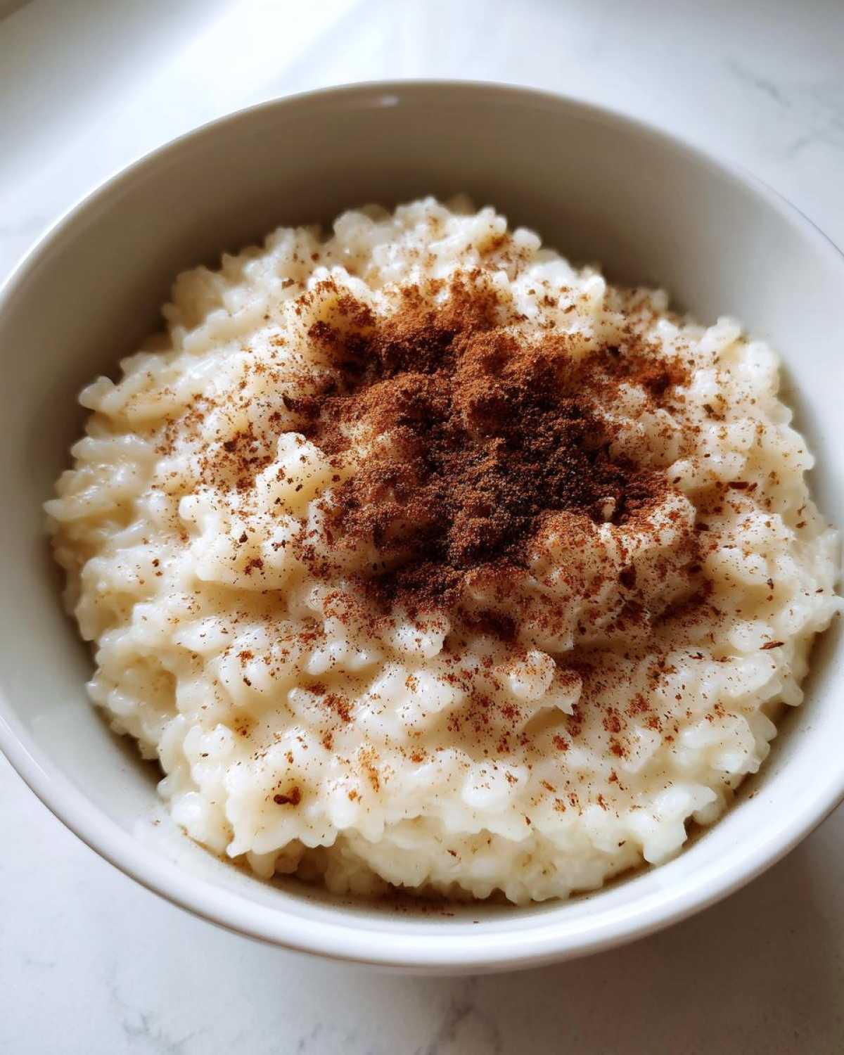 Close-up of a bowl of creamy rice pudding recipe generously dusted with ground cinnamon.