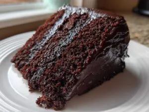 Close-up of a rich, dark slice of moist chocolate cake covered in glossy chocolate frosting.