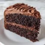 Close-up of a rich, dark slice of homemade chocolate cake layered with thick chocolate frosting.