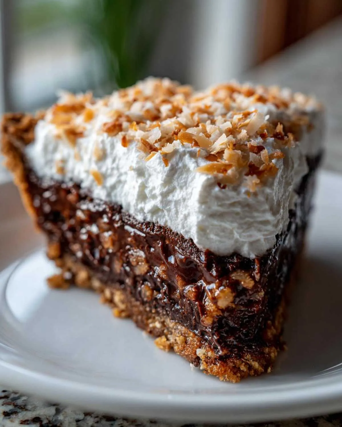 A thick slice of rich german chocolate pie featuring a dark, gooey filling, white whipped topping, and toasted coconut flakes.