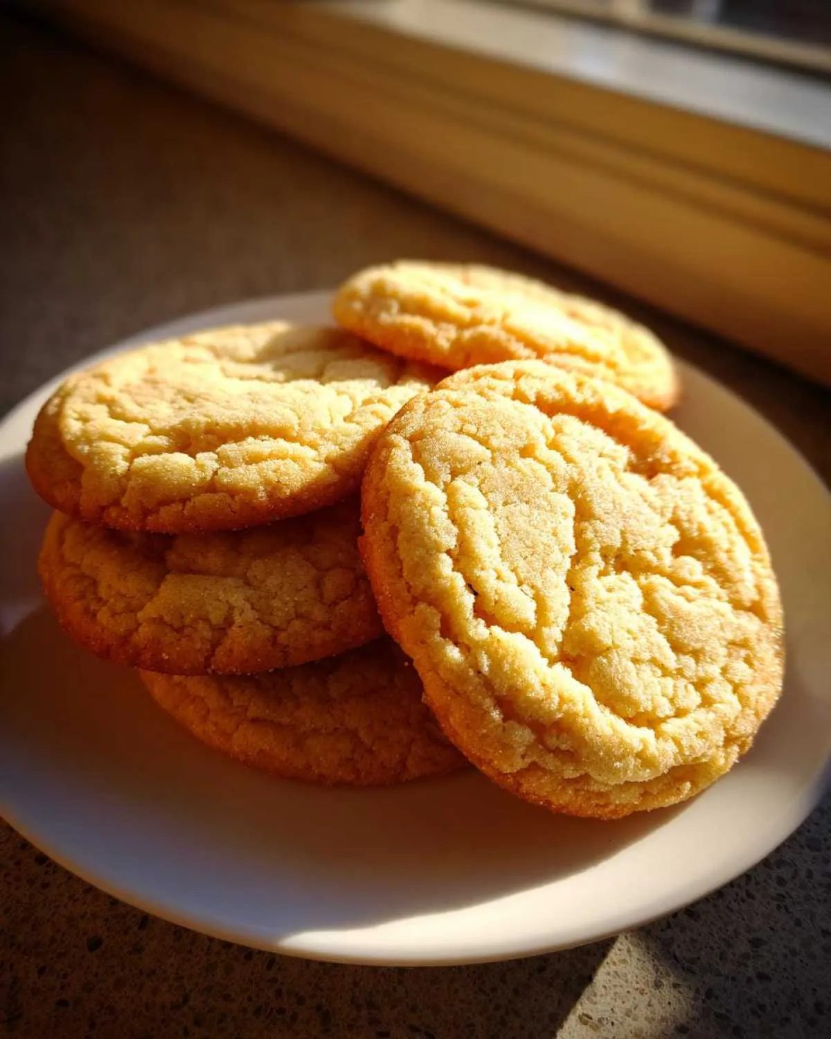 A stack of freshly baked, crinkled sugar cookie rounds resting on a white plate, brightly lit by natural sunlight.