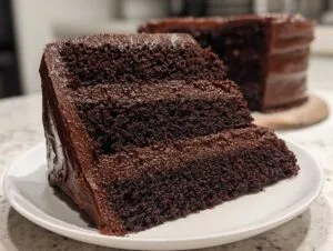 A thick slice of moist chocolate fudge cake with three layers and rich chocolate frosting, served on a white plate.