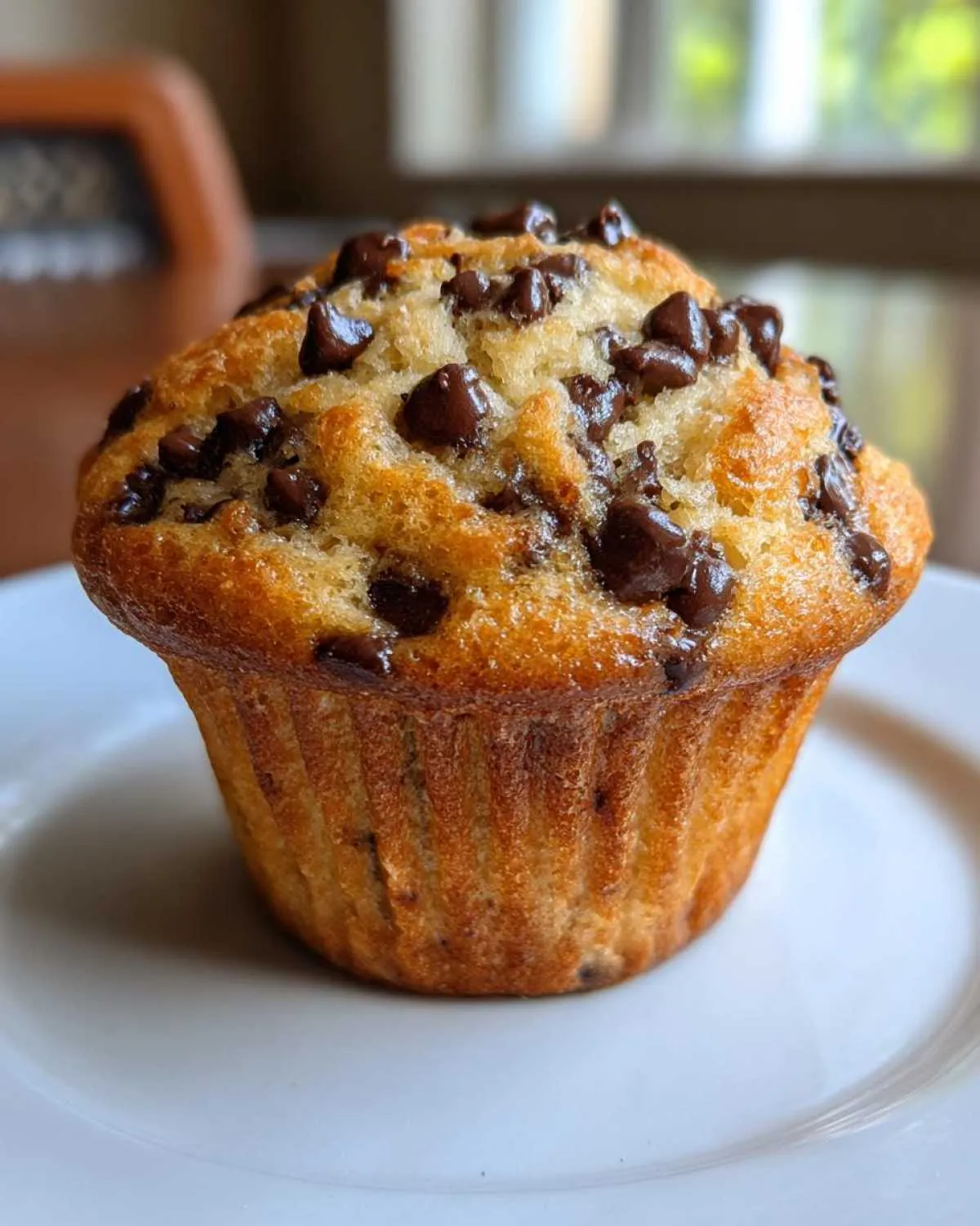 A golden brown, freshly baked chocolate chip muffin sitting on a white plate.