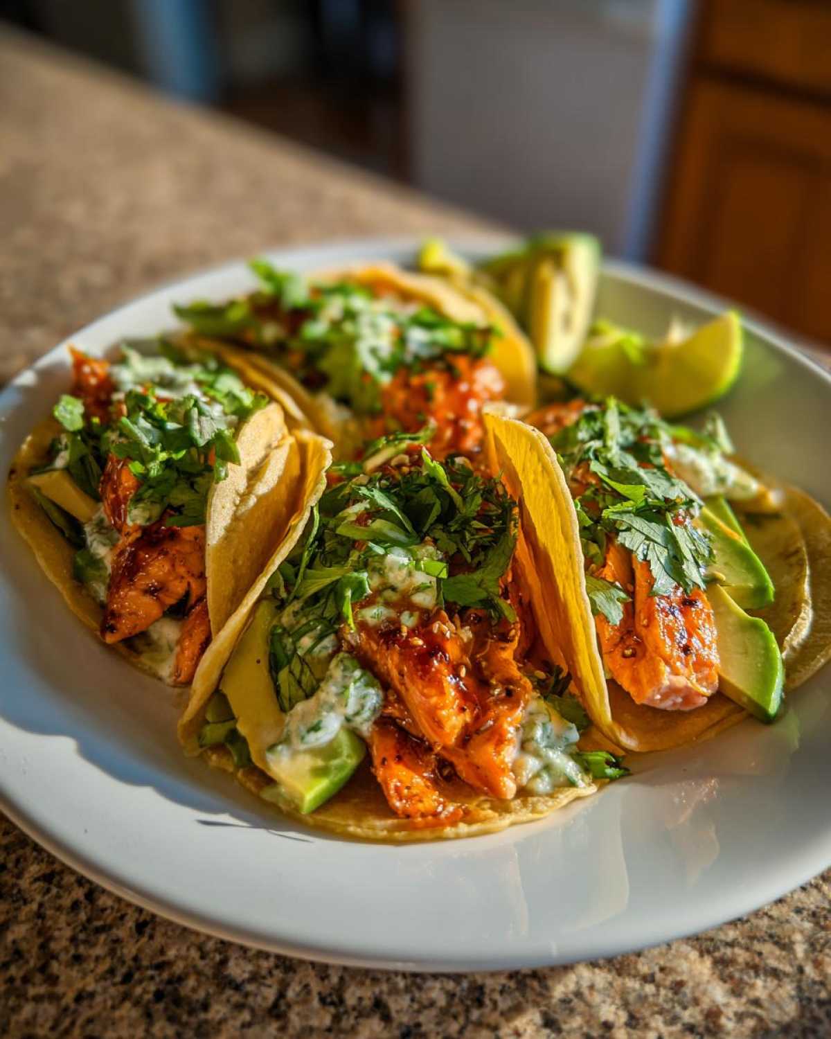 Four delicious chipotle honey salmon tacos served on a white plate with avocado slices and cilantro garnish.